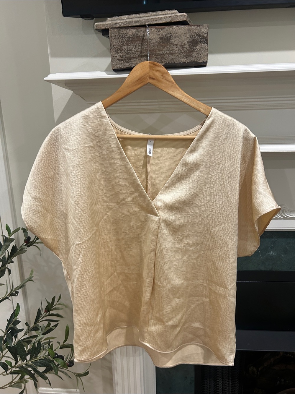 glam V-Neck Short Sleeve Blouse in Light Beige